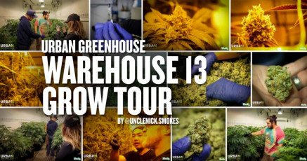 UGD Warehouse 13 Grow Op Tour