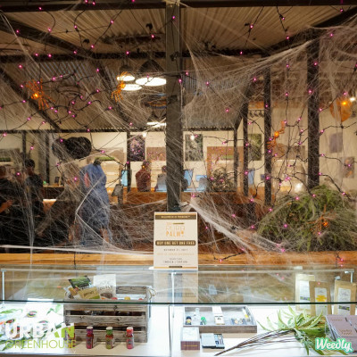 Room 420 Halloween at Urban Greenhouse Dispensary in Phoenix, AZ
