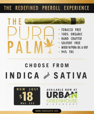 The Pura Palm Preroll Now $18