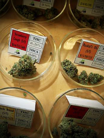 Weedly Phoenix Arizona Medical Marijuana Dispensaries