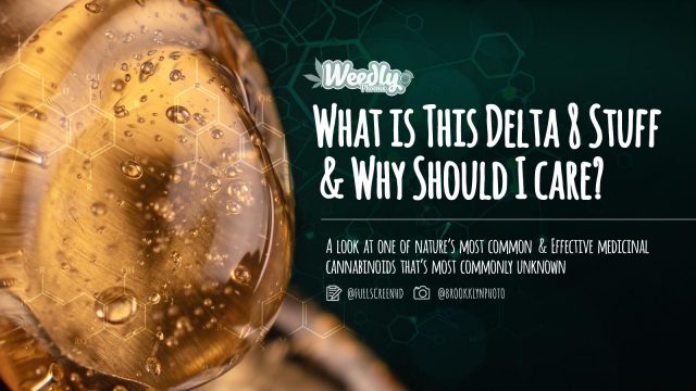 What Is Delta-8 & Why Should I Care?