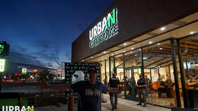 Photos From Halloween ’17 at Urban Greenhouse Dispensary