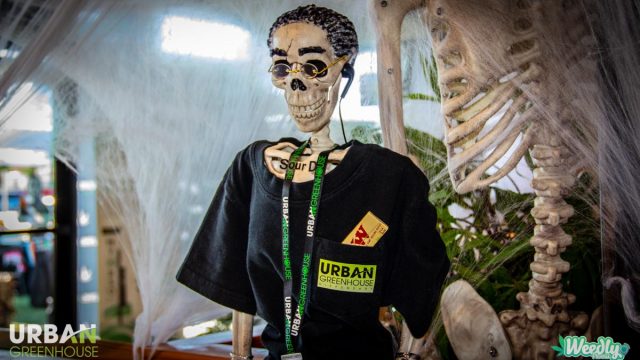UGD Halloween ’18 Media Gallery